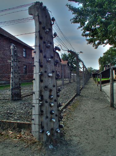 Auschwitz - Polonia y Capitales Bálticas (4)