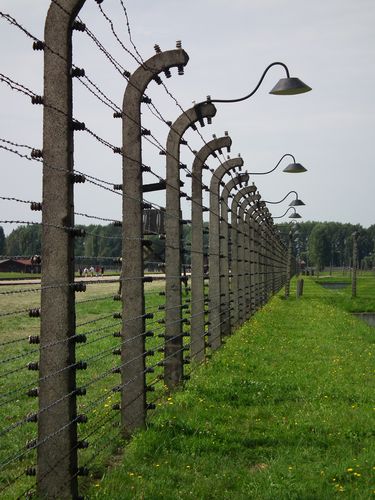 Auschwitz - Polonia y Capitales Bálticas (33)
