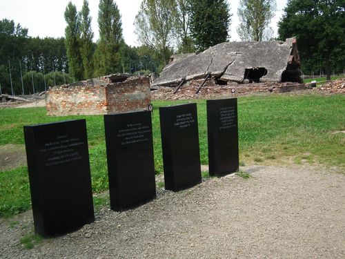 Auschwitz - Polonia y Capitales Bálticas (43)