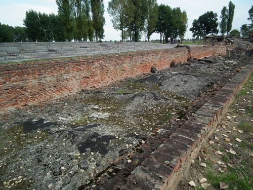 Auschwitz - Polonia y Capitales Bálticas (44)