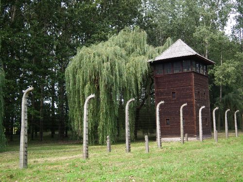 Auschwitz - Polonia y Capitales Bálticas (45)