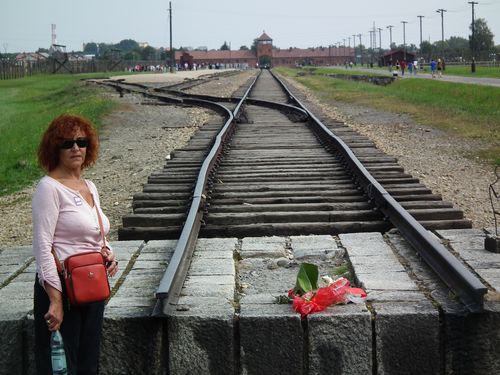 Auschwitz - Polonia y Capitales Bálticas (47)