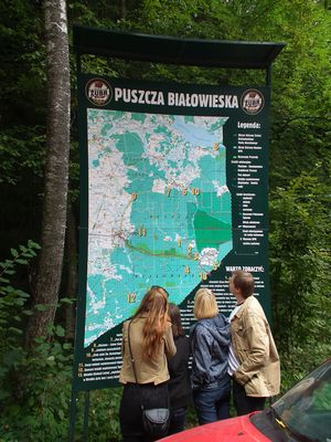 Bialystok y el Parque Nacional de Bialowieza - Polonia y Capitales Bálticas (7)