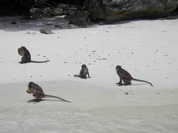 Phuket - 18 días en Siam (7)