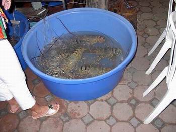 Phuket - 18 días en Siam (4)