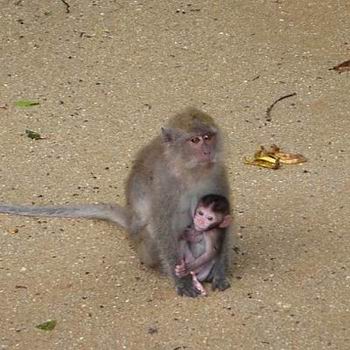 Phuket - 18 días en Siam (19)