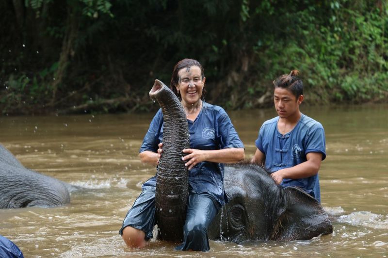 TIGRES Y ELEFANTES - Tailandia. Septiembre 2015. Nuestro segundo viaje (43)