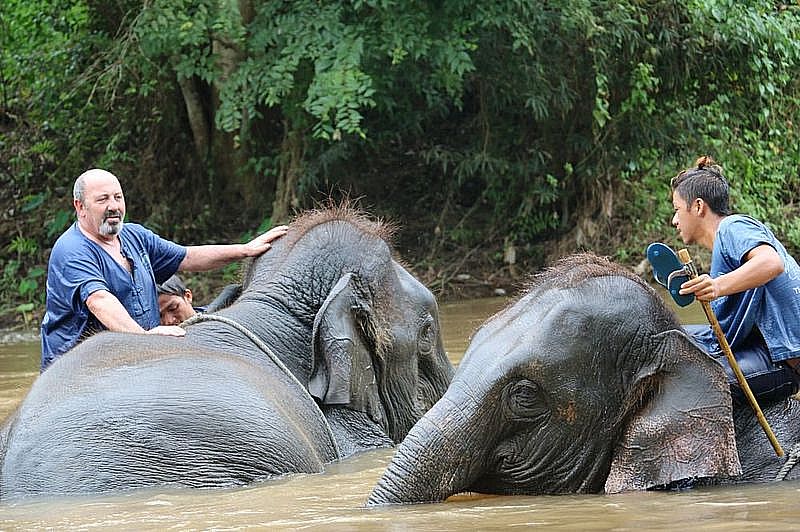 TIGRES Y ELEFANTES - Tailandia. Septiembre 2015. Nuestro segundo viaje (48)