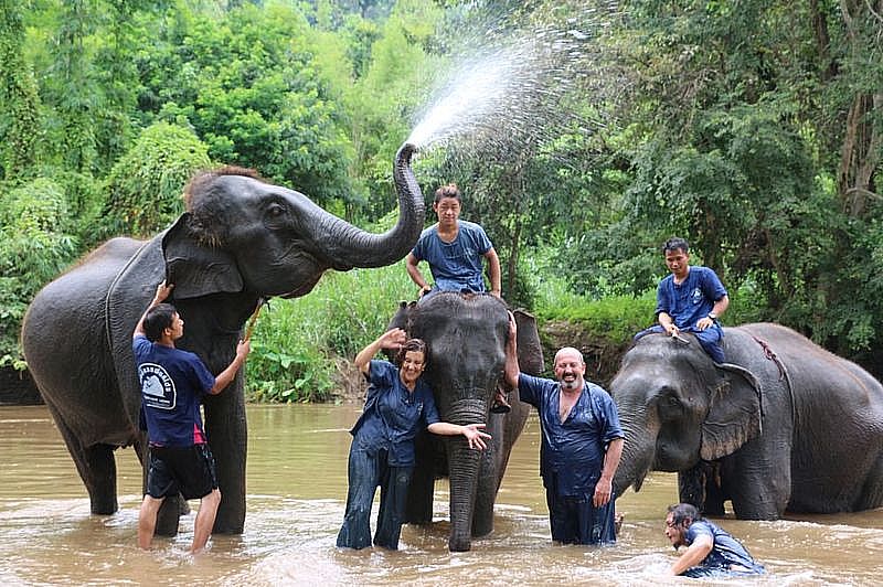 TIGRES Y ELEFANTES - Tailandia. Septiembre 2015. Nuestro segundo viaje (50)