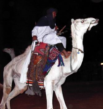El Circuito - Vacaciones 2004. Tunez: Cultura, desierto y mediterraneo. (27)