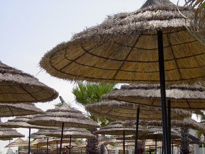 Imagenes de tunez - Vacaciones 2004. Tunez: Cultura, desierto y mediterraneo. (22)